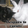 🧿 Memes Variados 17😂😎 20