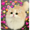 Cute stickers 10