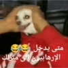 Bebé  9