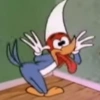 Picapau 6