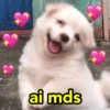 15 MEMES MUITO BOM  6