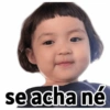 Reações, memes e deboche  10