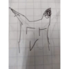 PAK de Pikachu 9