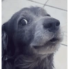 MEMES & Reações 12