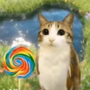 Meowl 🐱🦉 23