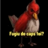 Memes Angry birds 7