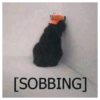 [SOBBING]