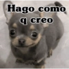 🧿 Memes Variados 17😂😎 15