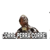 Hola hola hola 29