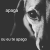 MEMES ZOAÇÃO 15
