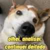 olhei, analisei, continuei deitado
