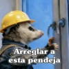 🧿 Tlacuache/ zariguella🦡 10
