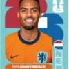 Cromos Seleção dos Países Baixos 🇳🇱 7