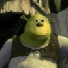 Shrek  11