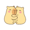 🦫💓 Capibara Amor 💓🦫 14