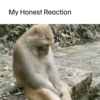 My Honest Reaction