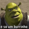 é só um burrinho