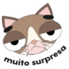 muito surpresa
