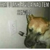 SEM O LINK A VIDA NAO TEM SENTIDO