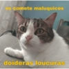 Gatitos 🐱 10