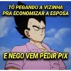 TÔ PEGANDO A VIZINHA PRA ECONOMIZAR A ESPOSA E NEGO VEM PEDIR PIX