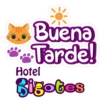 Bigotes frases 26