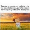 Cuando el examen es mañana y no has estudiado nada, pero tú eres un tío tranquilo y estás chill de cojones