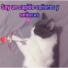 Soy un cupido señores y señoras