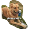 Lo que pinte 7