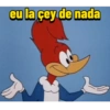 Memes do pica-pau 7