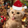 ANIMAIS NATALINOS ❤️🎅 8