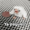 Memes 2025 10