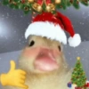 ANIMAIS NATALINOS ❤️🎅 4