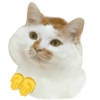 Meme Kucing Lucu 🐱 19