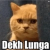Dekh Lunga
