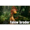 falow broder