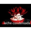 Waos 14