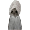 Hamster e non  11