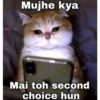 Mujhe kya Mai toh second choice hun