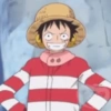 Luffy 13