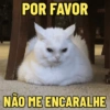 POR FAVOR NÃO ME ENCARALHE