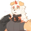 Random & Furry 24