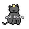 Pack de gatitos 6