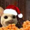 Aperitivos do Natal 7