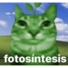 fotosíntesis