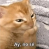 Momos Anime 5