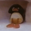 Pingu 🐧 12