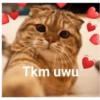 Omg 16