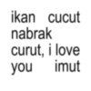 ikan cucut nabrak curut, i love you imut