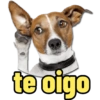 te oigo